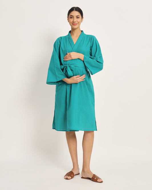 Green Gleam Bump & Beyond Maternity & Nursing Dress